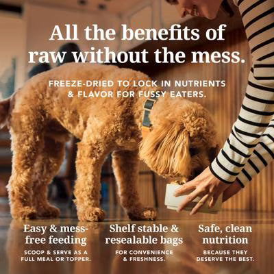 K9 Natural New Zealand Beef Feast Grain-Free Freeze-Dried Dog Food, 1.1-lb bag
