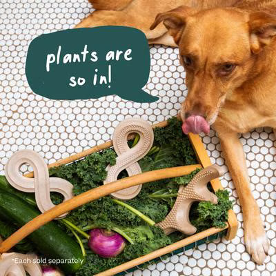WOOF HONEST CHW BONE M