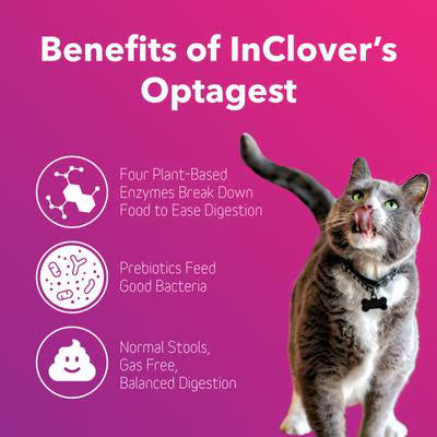 InClover Optagest Plant Based Prebiotics & Digestive Enzymes Supplement for Dogs & Cats, 100-gm bottle