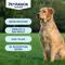 PETARMOR FLEA/TICK/LICE CLR LG