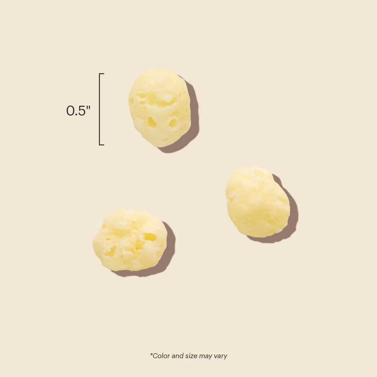 HONEST KITCHEN GOUDA BTS 2Z