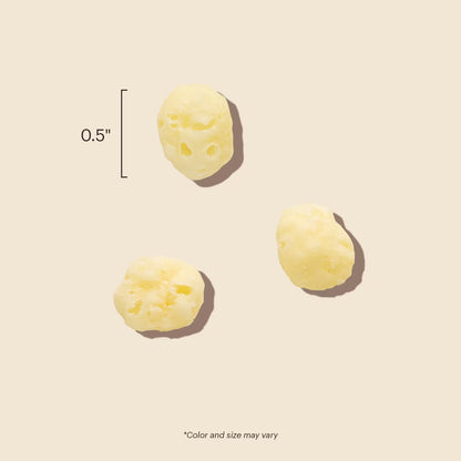 HONEST KITCHEN GOUDA BTS 2Z