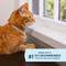PETARMOR FLE/TICK/LICE CAT 10