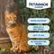 PETARMOR FLE/TICK/LICE CAT 10
