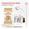 ROYAL CANIN CORGI ADULT 7#