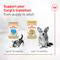 ROYAL CANIN CORGI ADULT 7#