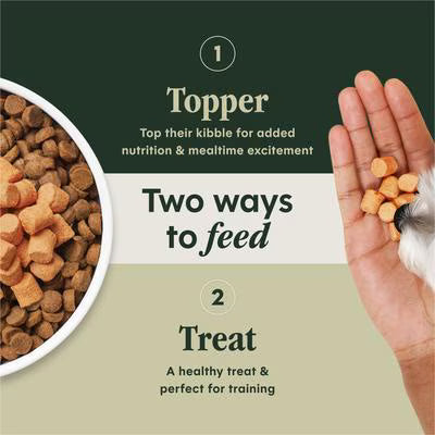 Instinct RawBoost Mixers Gut Health Recipe Grain-Free Freeze-Dried Dog Food Topper, 23-oz bag