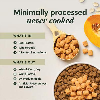 Instinct RawBoost Mixers Gut Health Recipe Grain-Free Freeze-Dried Dog Food Topper, 23-oz bag
