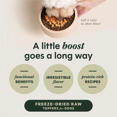 Instinct RawBoost Mixers Gut Health Recipe Grain-Free Freeze-Dried Dog Food Topper, 23-oz bag