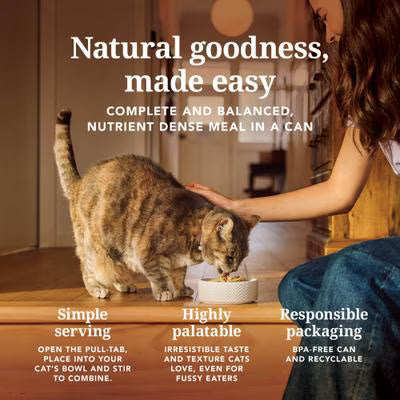 FELINE NAT LAMB VEN 6Z