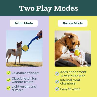 WOOF FORAGER FLYBALL LAVENDAR
