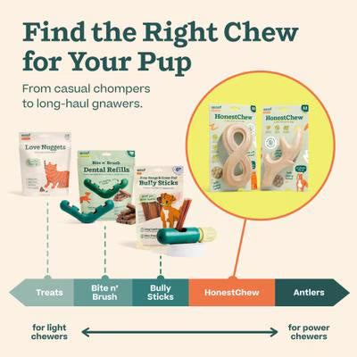 WOOF HONEST CHEW BONE L