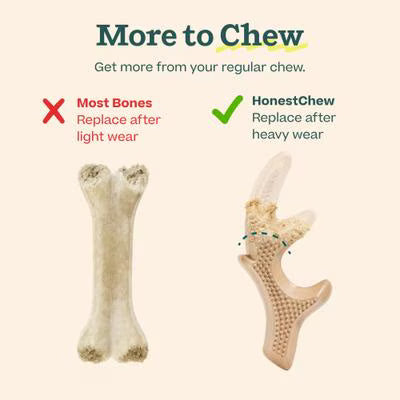 WOOF HONESTCHEW ANTLER L