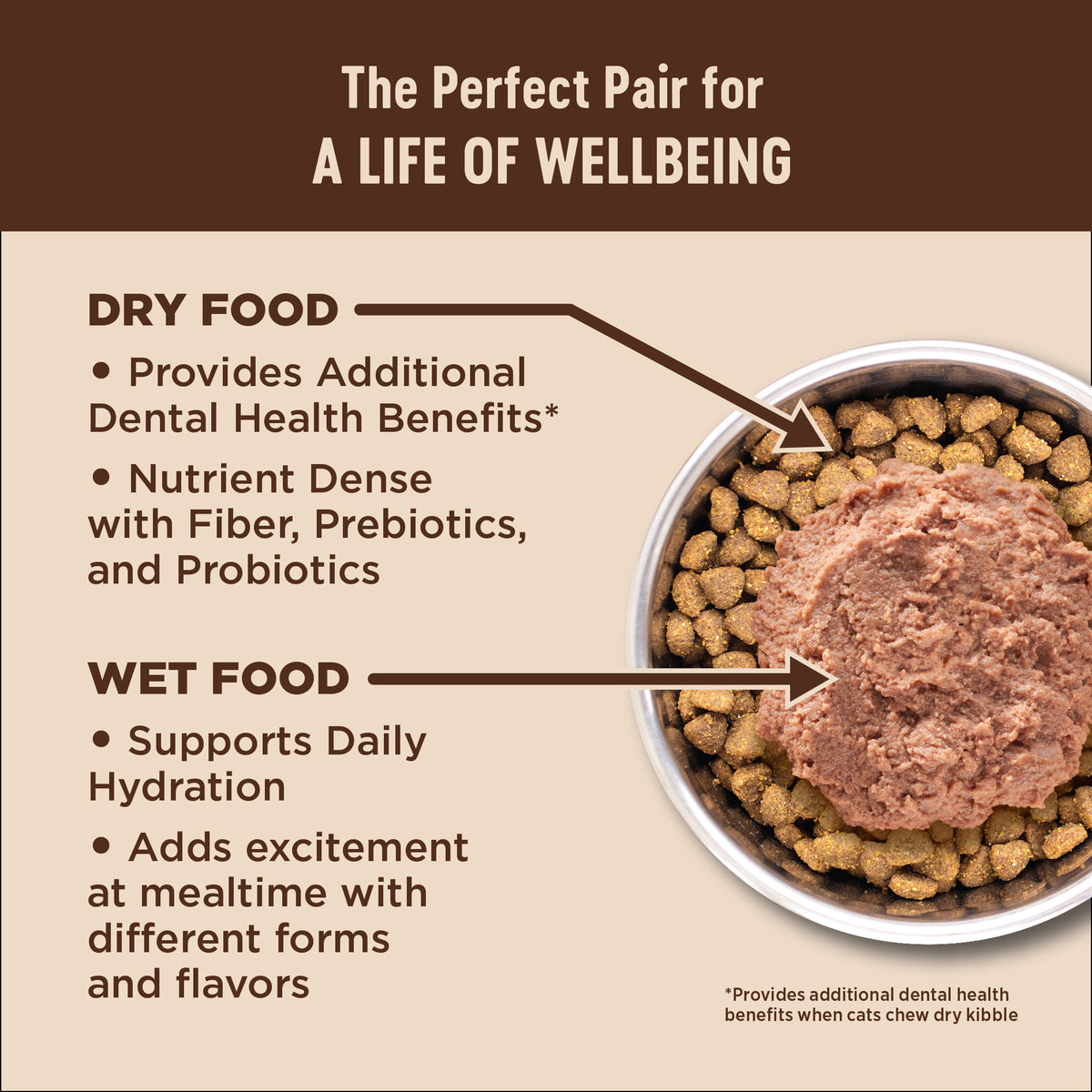 WELLNESS CORE KITTEN 5.14#