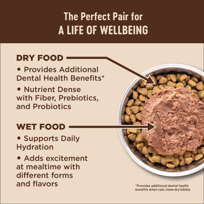 WELLNESS CORE KITTEN 5.14#