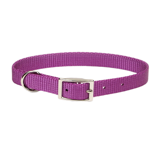 COASTAL 5/8 COLLAR HUNTER