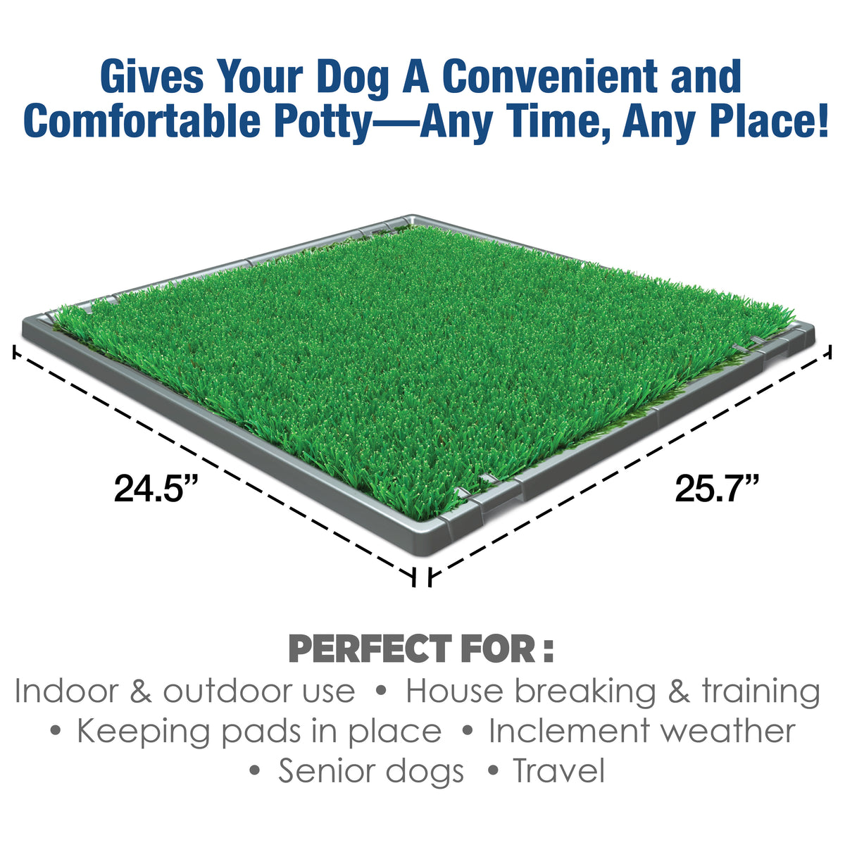 FOUR PAWS WEE WEE POTTY PATCH