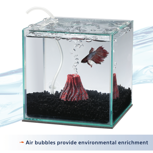 AQE FILTER BETTA W/VOLCANO