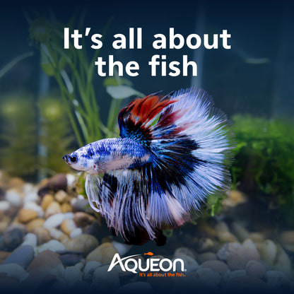 AQE KIT BETTA BOW LED BLK 2.5G