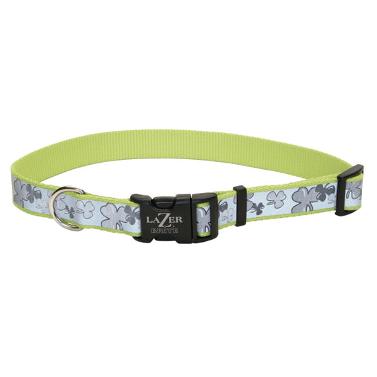 COASTAL REFLT ADJ CLR SHAMROCK