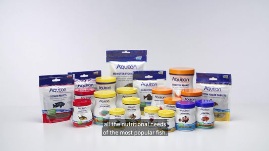 AQUEON COLOR GOLD GRAN 3OZ