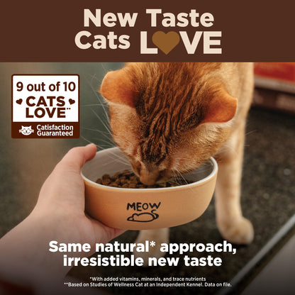WELLNESS CORE KITTEN 5.14#
