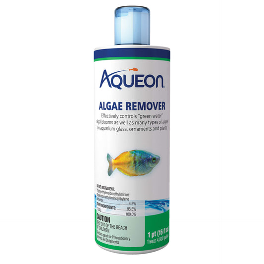 AQUEON ALGAE REMOVER 16Z