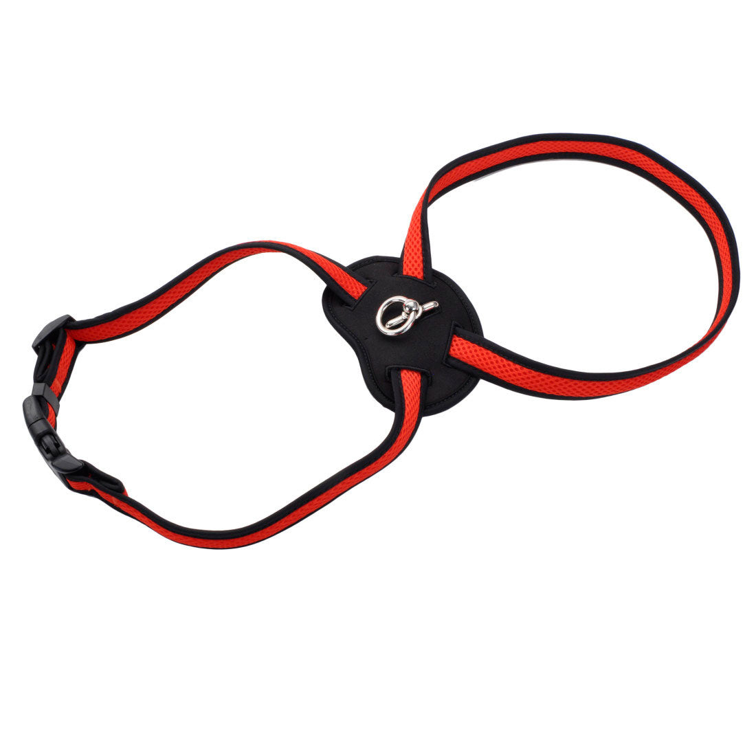 COASTAL 1" HARNESS RED L