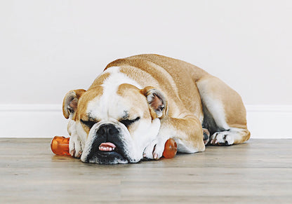 BIONIC URBAN STICK 9" M