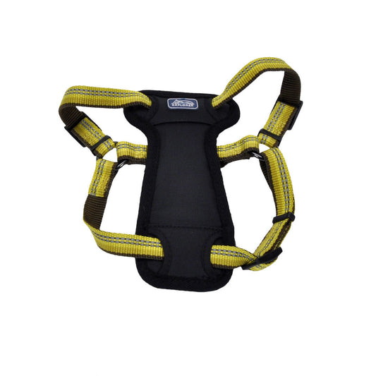 COASTAL 5/8" PADDED HARNESS