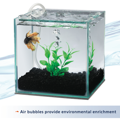 AQE FILTER BETTA W/NAT PLANT