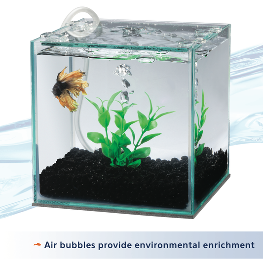 AQE FILTER BETTA W/NAT PLANT