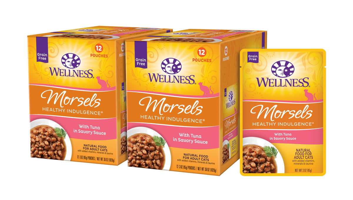 WELLNESS INDULGENCE GF CH/CH