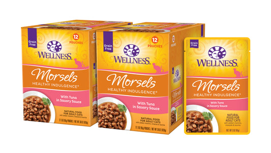 WELLNESS INDULGENCE GF CH/CH