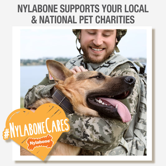 NYLABONE POWER WISHBONE CHW GT