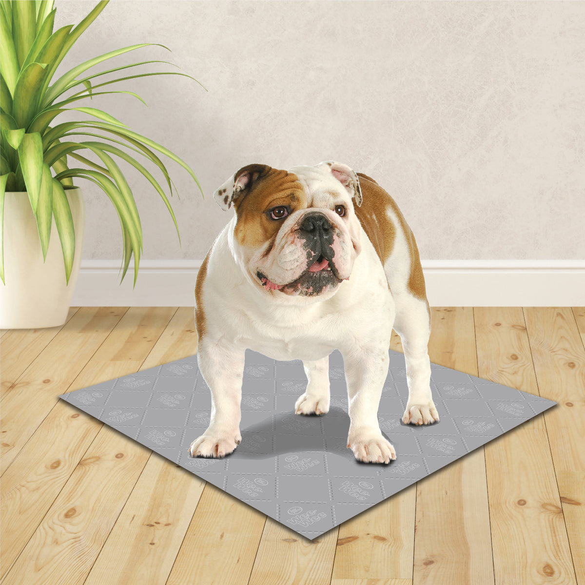 FOUR PAWS WASHABLE PAD 3PACK