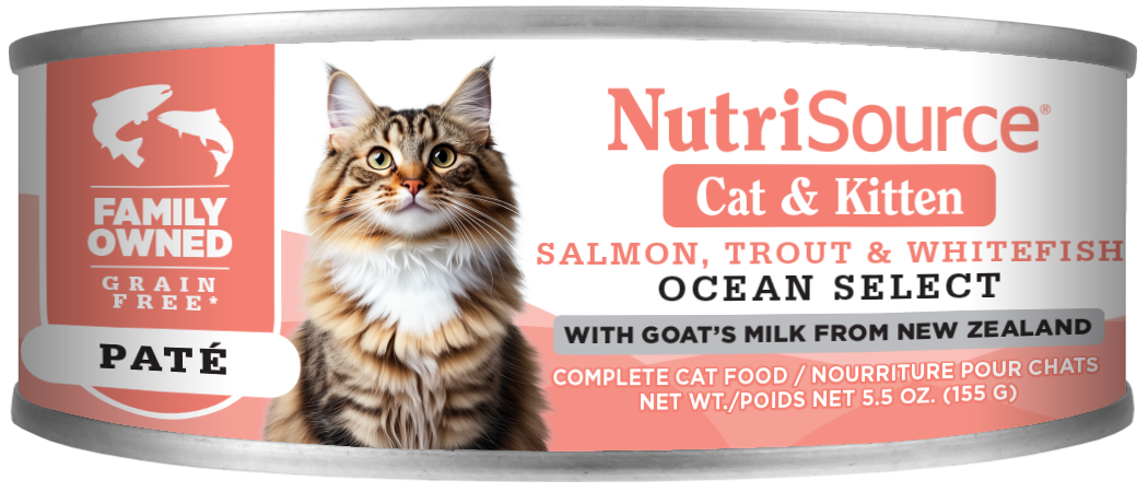 NS CAT GF SEL OCEAN 5.5Z 12PK