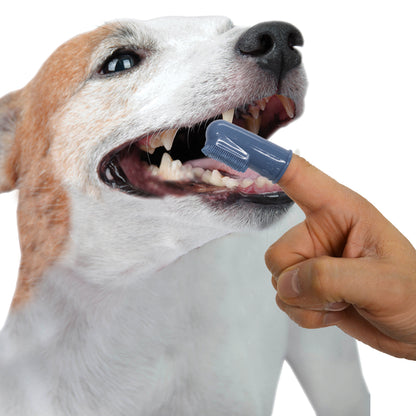 NYLABONE DENTAL FINGER BRSH 2