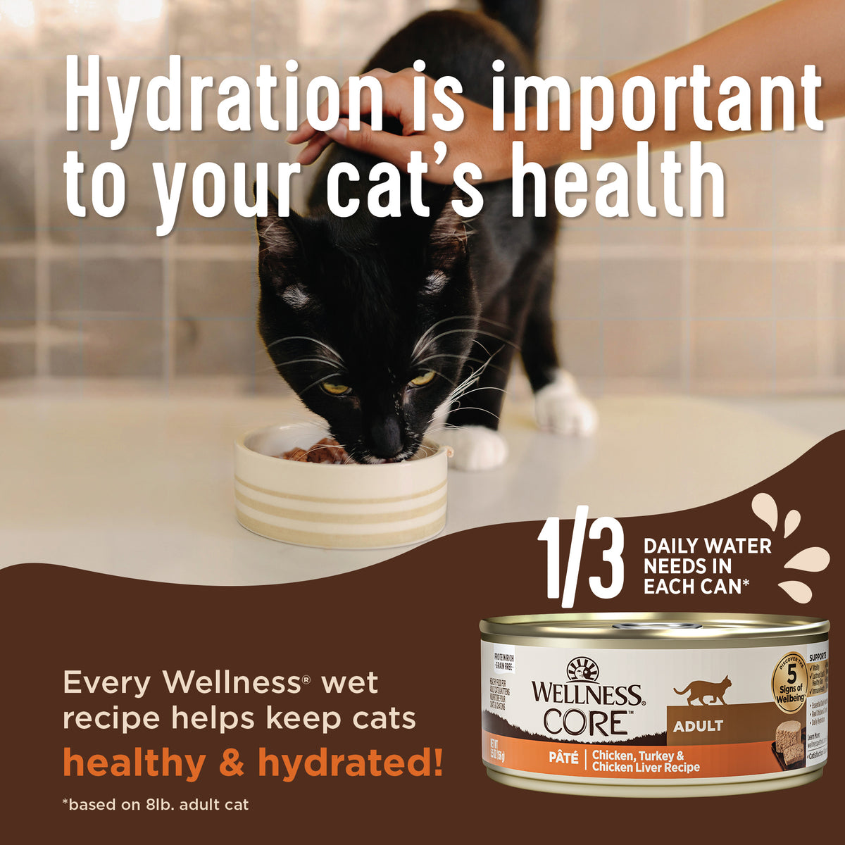WELLNESS CORE CAT CHIK 5.5Z