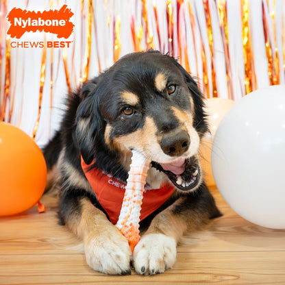 NYLABONE POWER CHW CH BONE XL
