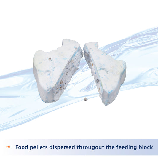 AQEON 3-DAY FEEDER 4 PK