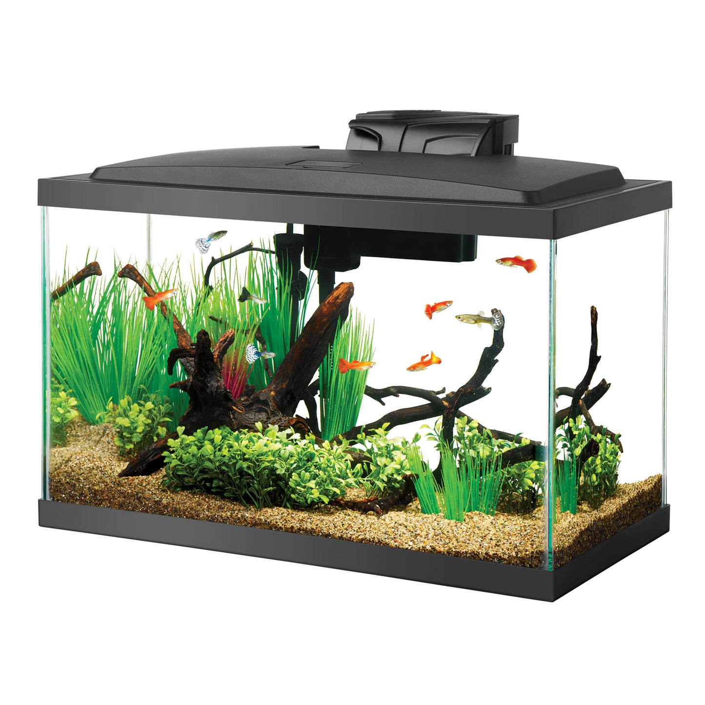 AQUEON TANK 10G BLK 20X10X12