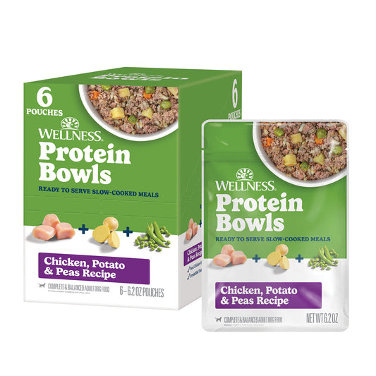 WELLNESS CH POT BOWL 6.2Z