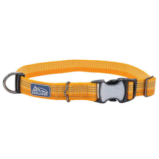K9 BRT 5/8" LEAD DESERT