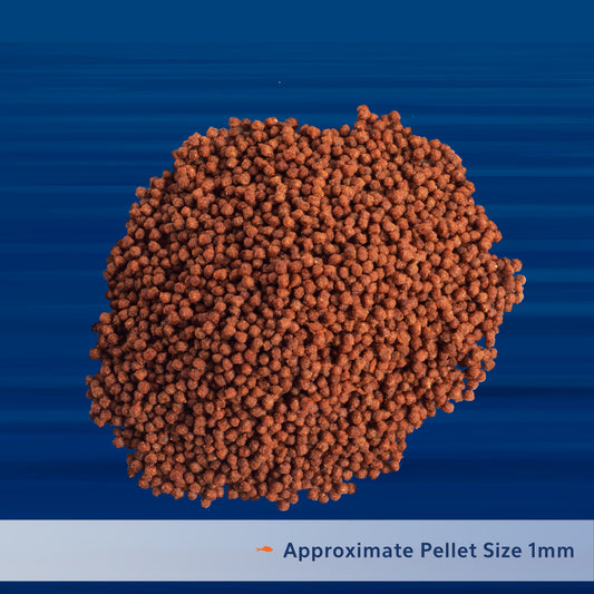 AQE PRO BETTA PLLT FOOD 1.4Z