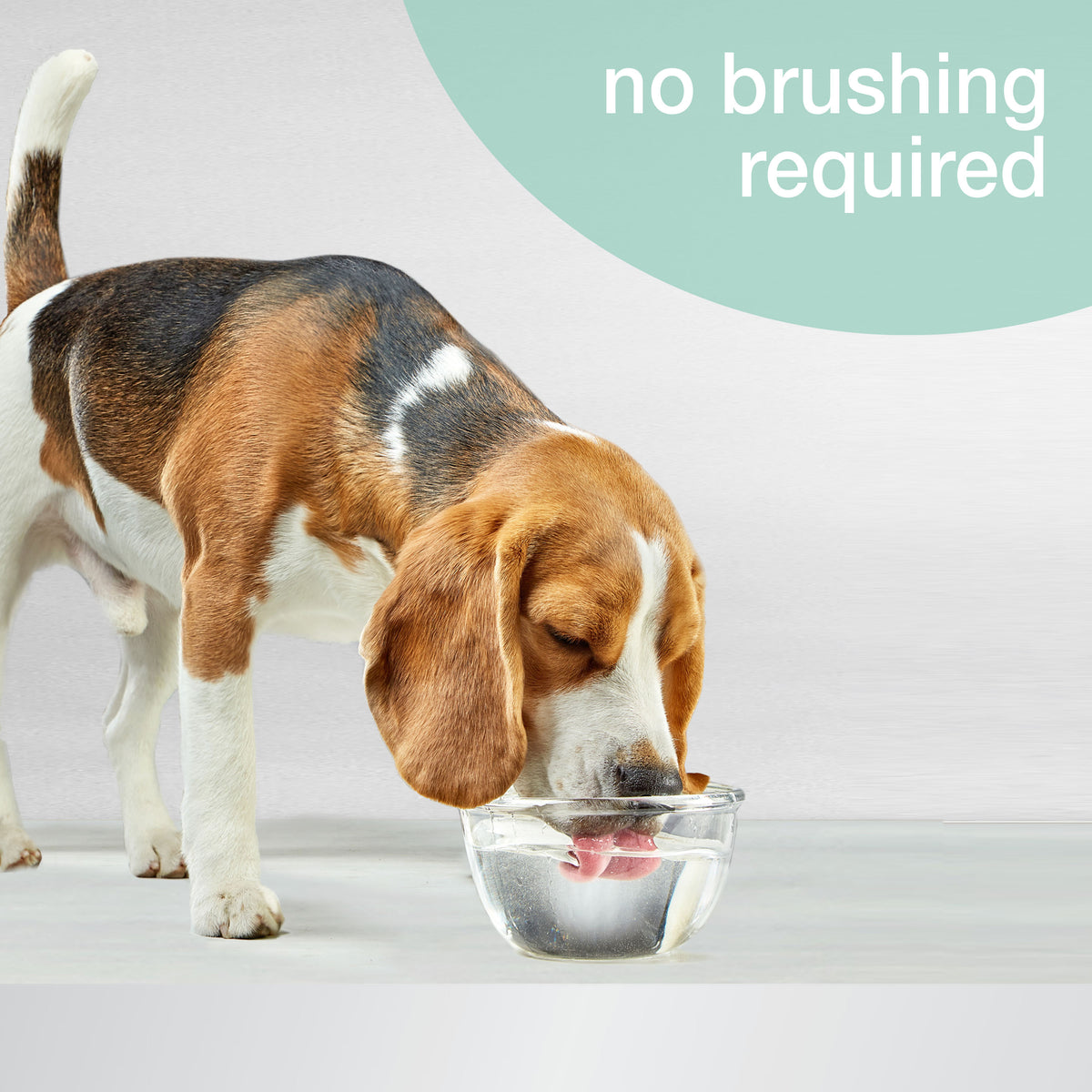 NYLABONE ORAL ADV LIQUID FRSH