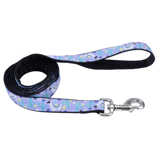 COASTAL 5/8X6' LEASH AD
