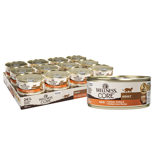WELLNESS CORE CAT CHIK 5.5Z