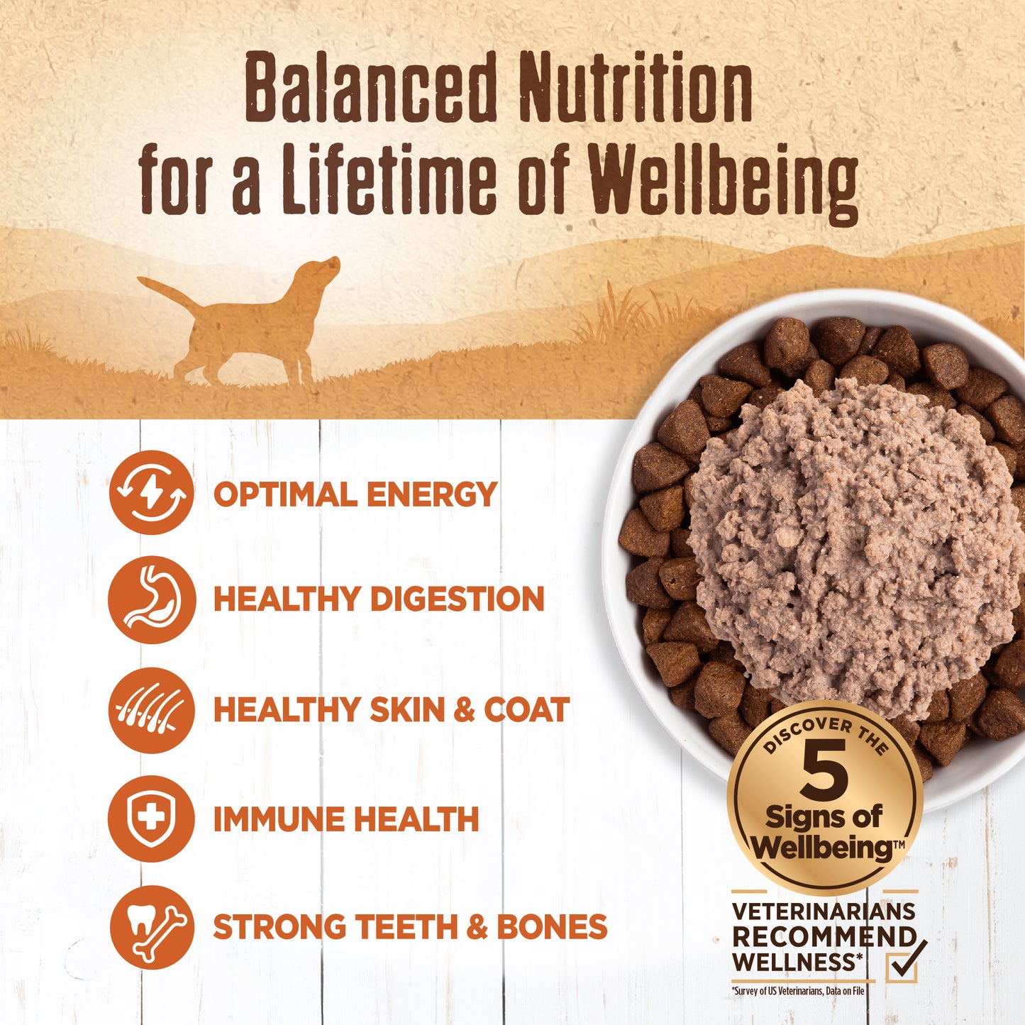 WELLNESS 95% TURKEY 13.2oz