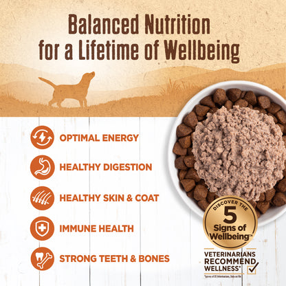 WELLNESS 95% TURKEY 13.2oz